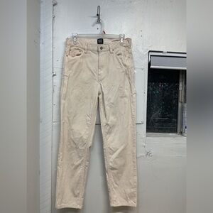 BDG Urban Outfitters  Slim Straight Corduroy Cropped Dad Fit Pants Men's 28